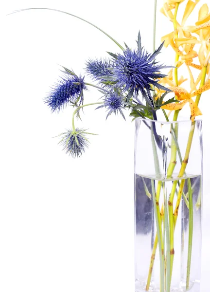 Funky flower arrangement — Stock Photo, Image
