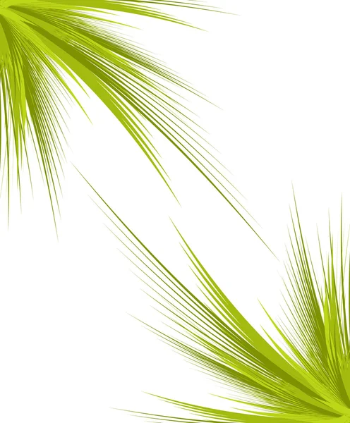 Branches vertes isolées — Image vectorielle