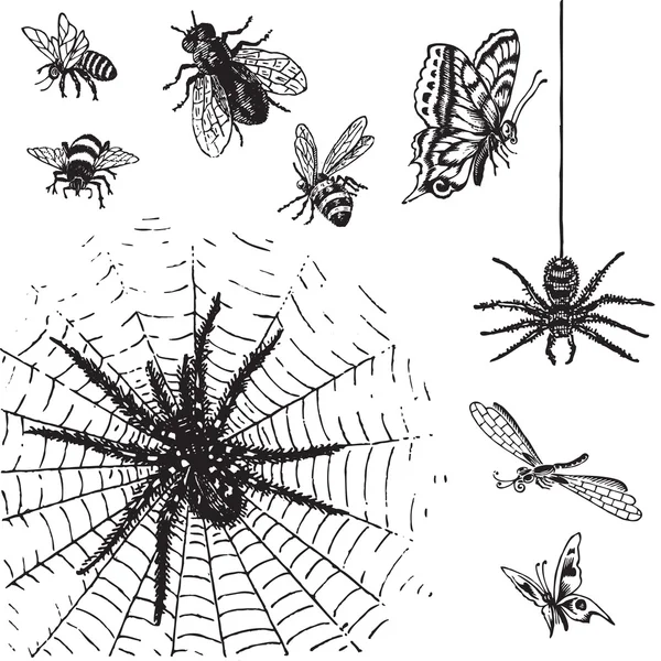 Antyczne owady (wektor zestaw) — Wektor stockowy