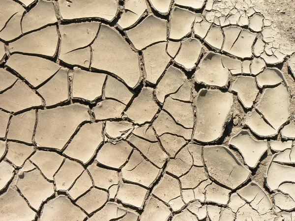Cracked Earth — Stock Photo, Image