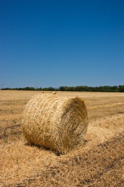 Golden Hay Bales in the countryside clipart