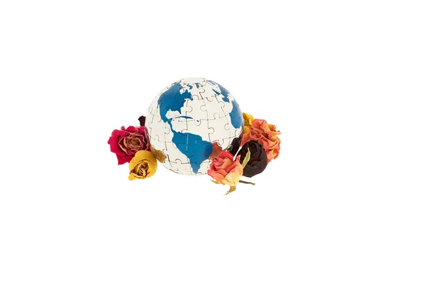 Flowers around the globe on a white back — Stock Photo, Image