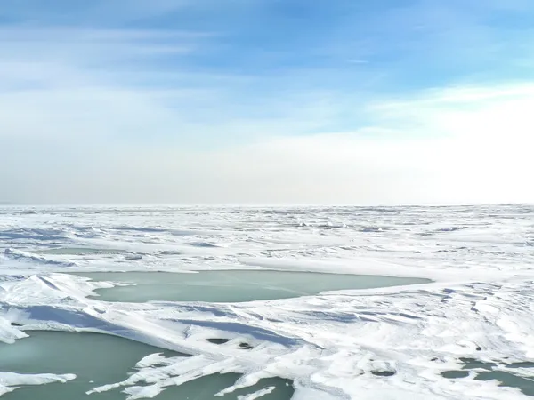寒冷的冬天在极地苔原 — 图库照片