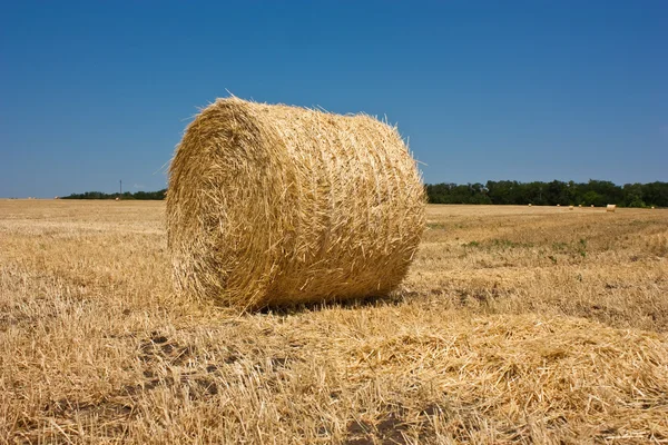 Golden Hay Bales in the countryside — Stock Photo, Image