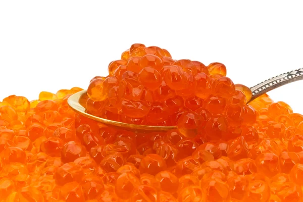 Cucharadita de caviar rojo —  Fotos de Stock