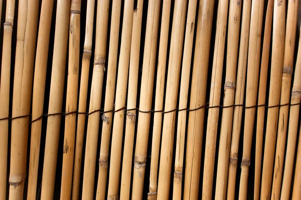 Parete di bambù — Foto Stock