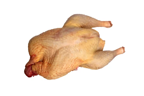 stock image Raw turkey,