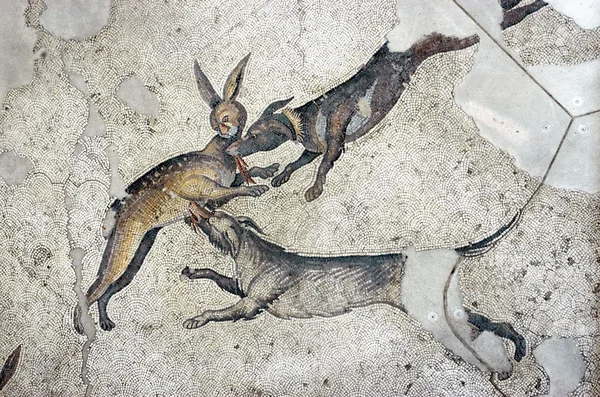 Perros atrapando un conejo, mosaico, Estambul —  Fotos de Stock