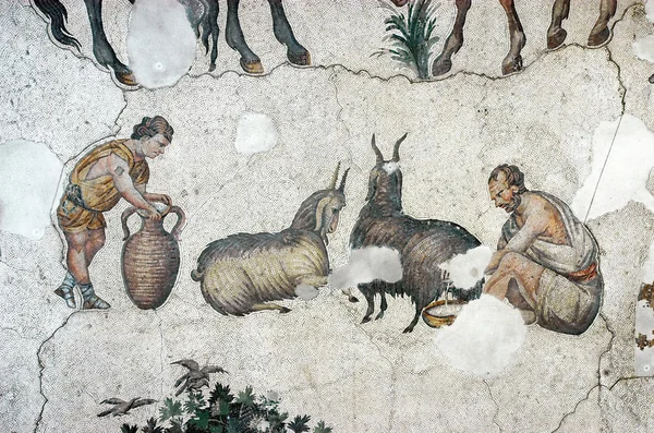 Bauern melken Ziegen, Mosaik, Istanbul — Stockfoto