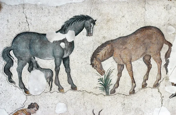 Pferde, Mosaik aus Istanbul — Stockfoto