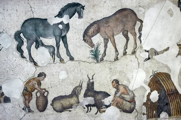 Agricultores ordeñando cabras, mosaico, Estambul —  Fotos de Stock