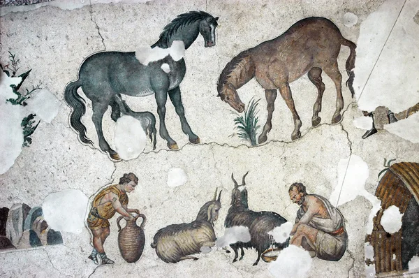 Farmers milking goats, mosaic, Istanbul — Stock Photo, Image