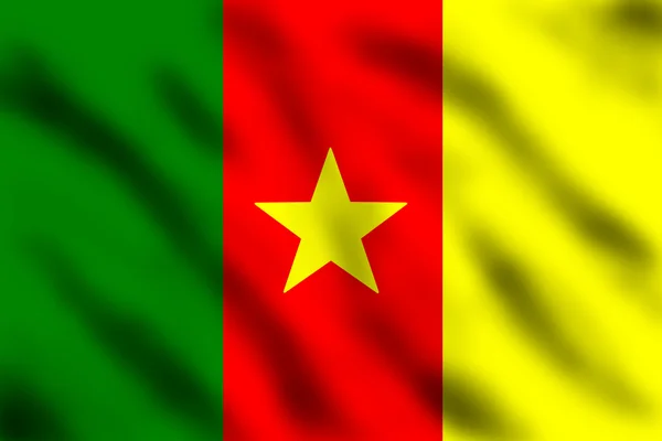 Drapeau Cameroun — Photo