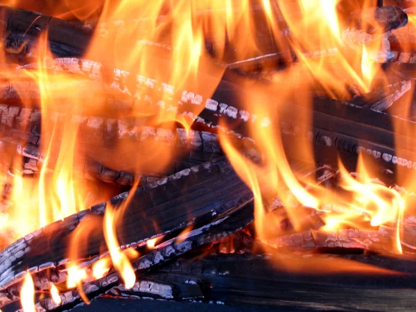 Flame fire. Пламя костра. — Stock Photo, Image