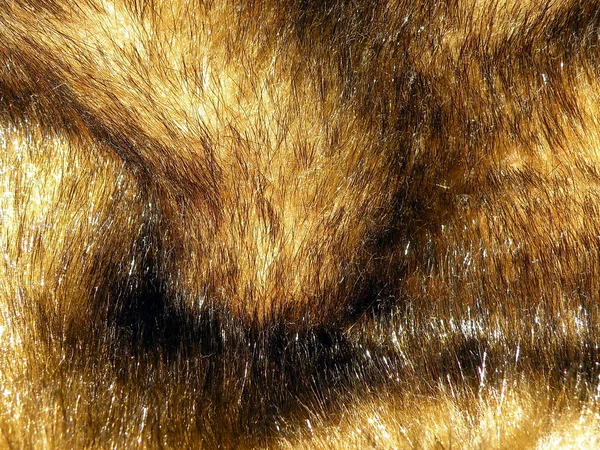 茶色の毛皮 — ストック写真