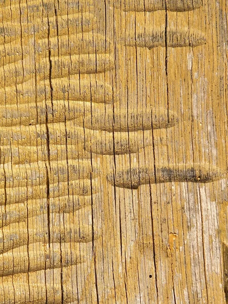 Żółty powierzchni drewnianych — Zdjęcie stockowe
