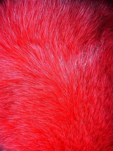 Fourrure de renard rouge — Photo