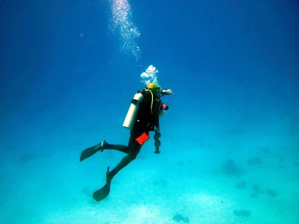 Diver — Stock Photo, Image