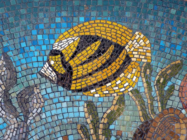 Mozaika ryby — Stock fotografie