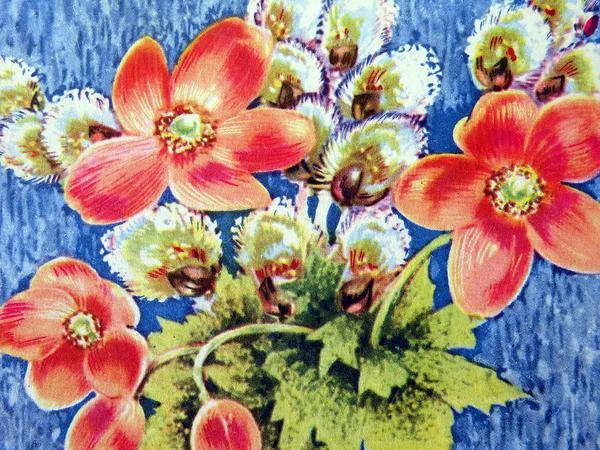 Pembe çiçek buketi — Stok fotoğraf