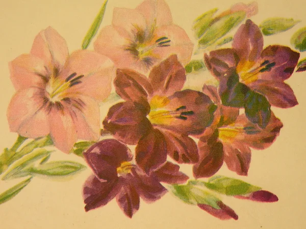 Vintage målade lily — Stockfoto