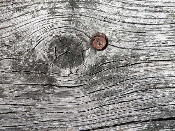 木制表面 — 图库照片