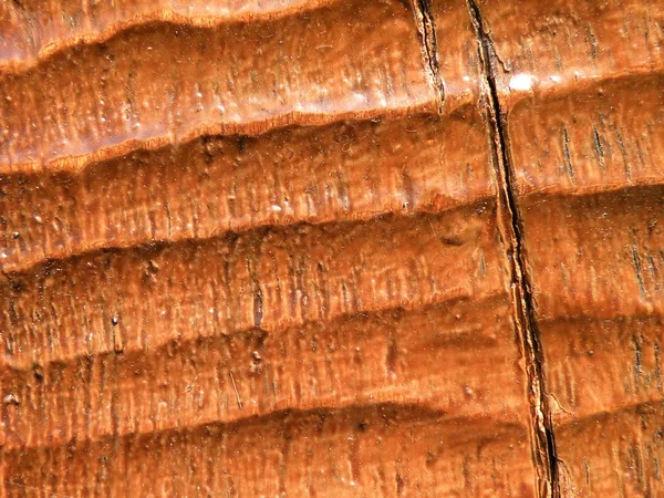 Orangefarbene Holzoberfläche — Stockfoto
