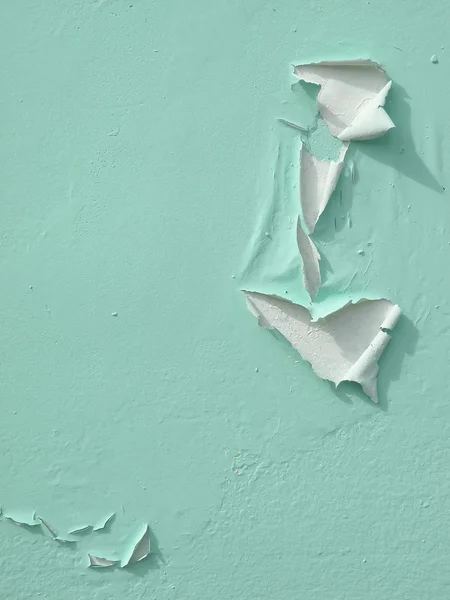 녹색 미친 벽 — 스톡 사진