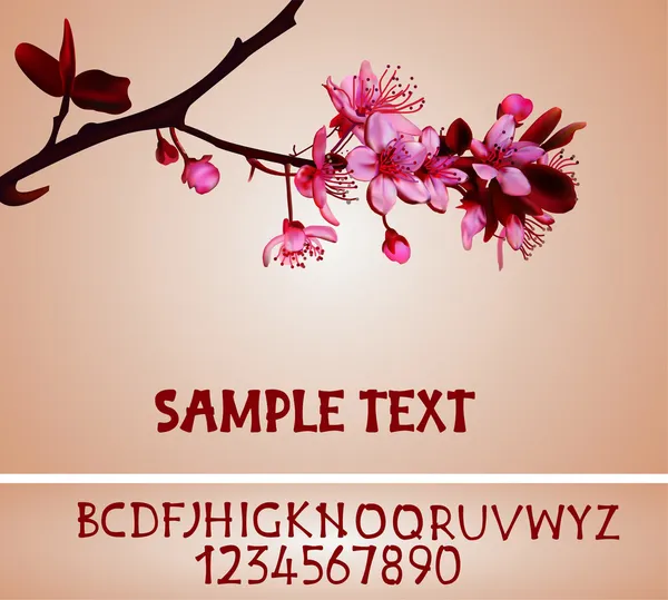 Sakura květy性感时尚模型在黄色下一篇 — Stock fotografie