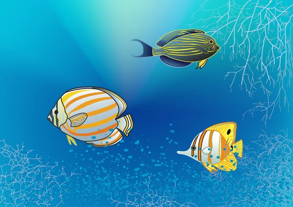 Tropische vissen onder water — Stockfoto