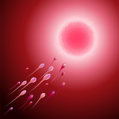 Fertilization background clipart