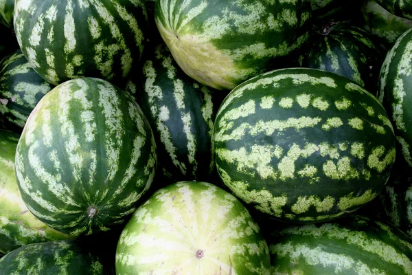 Čerstvé melouny vodní — Stock fotografie