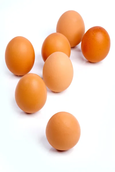 Eggs in vertical position — Stock Photo, Image