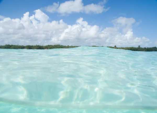 Schwimmen in der Karibik — Stockfoto