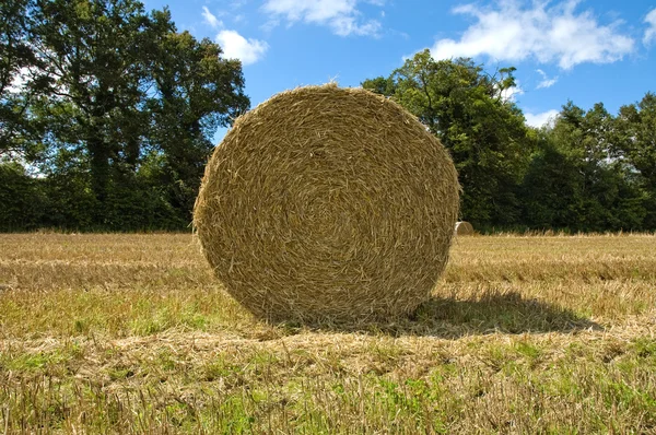 Hay bale on a beautiful summer day — Stock Photo, Image