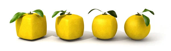 Evolución del limón — Foto de Stock