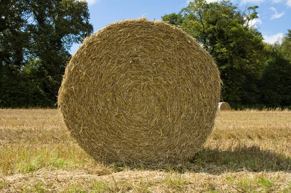 Frontal view of a hay bale — Stock Photo, Image