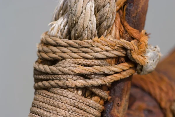 Macro em uma corda — Fotografia de Stock