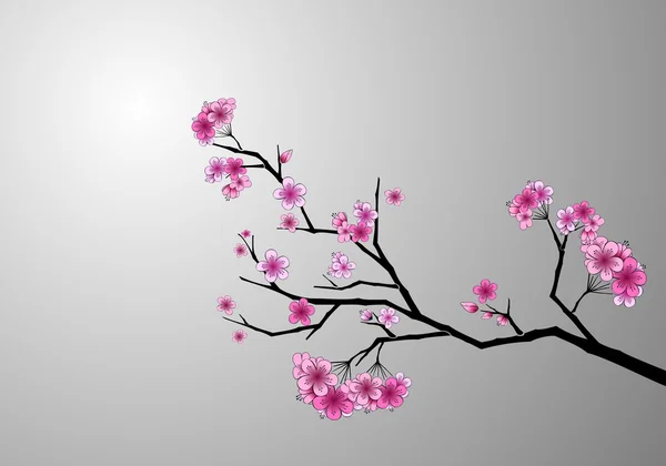 Flores de cerezo — Archivo Imágenes Vectoriales