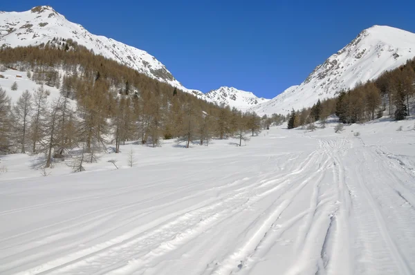 Champ de neige avec pistes de ski — Photo