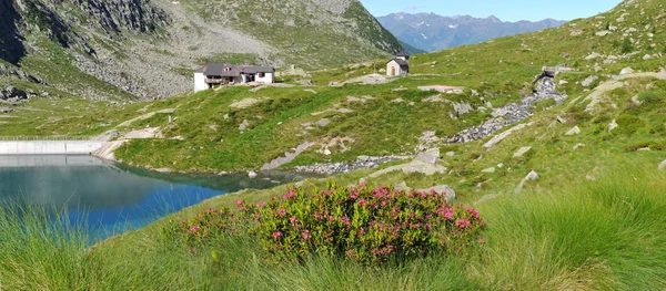 Альпійський притулок на озері — стокове фото