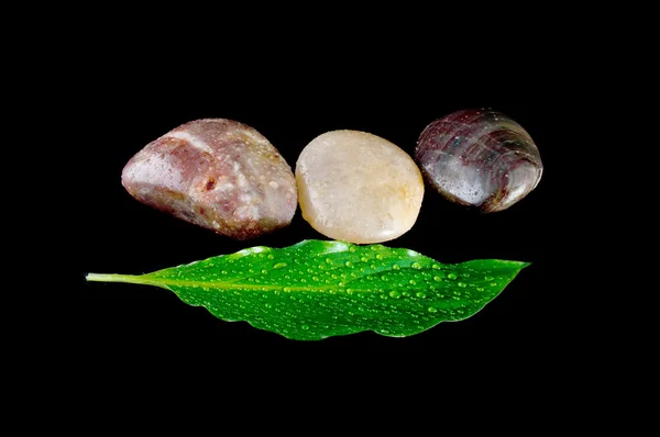 Stones and green leaf — Stock Photo, Image