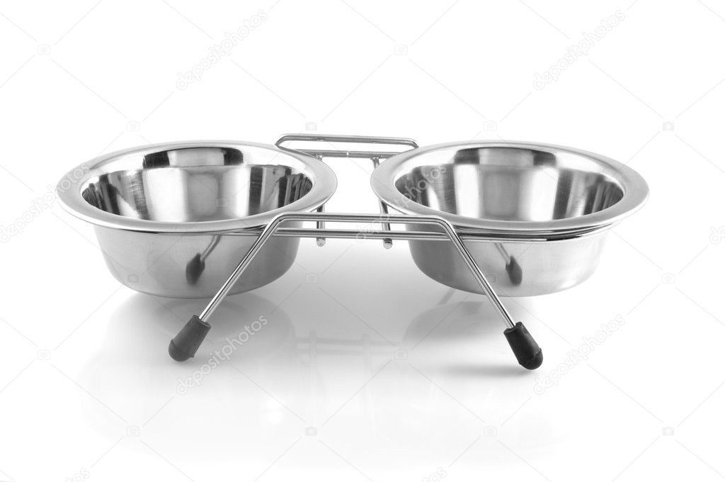 Two bowls with dog food and water