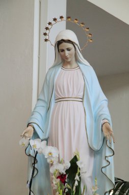 Madonna of Medjugorje clipart
