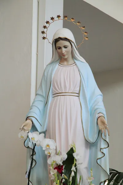 Madonna of Medjugorje — Stock Photo, Image