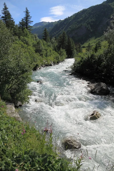 stock image Mountain stream