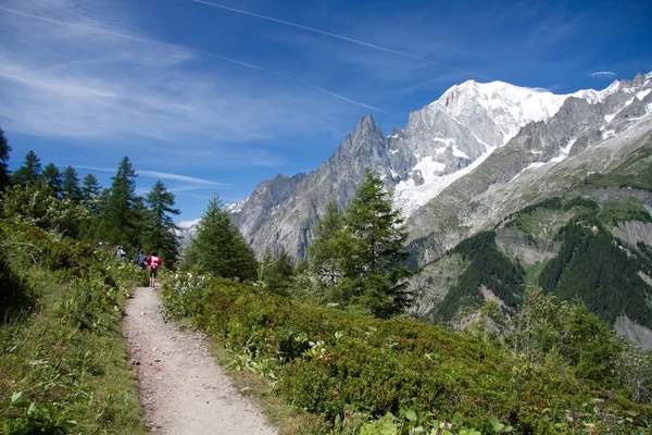 Mont Blanc-ban. — Stock Fotó