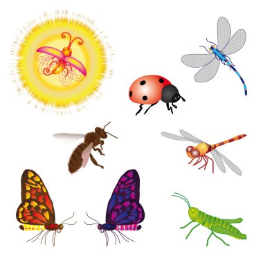 Set of bugs clipart