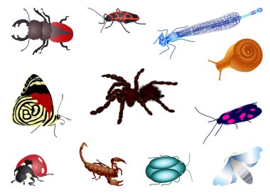 Set of bugs clipart