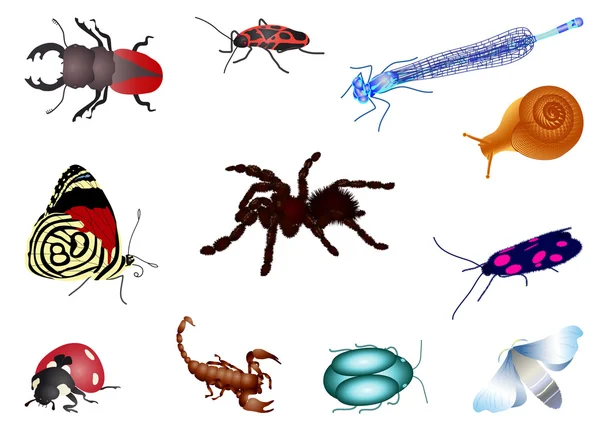 Ensemble de bugs — Image vectorielle